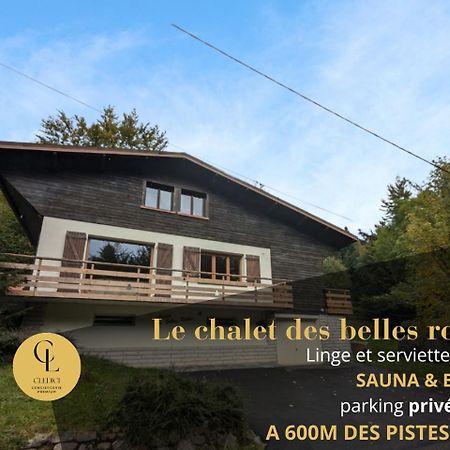 Chalet Des Belles Roches, 14 Pers, Garden, Sauna لابْريسْ المظهر الخارجي الصورة